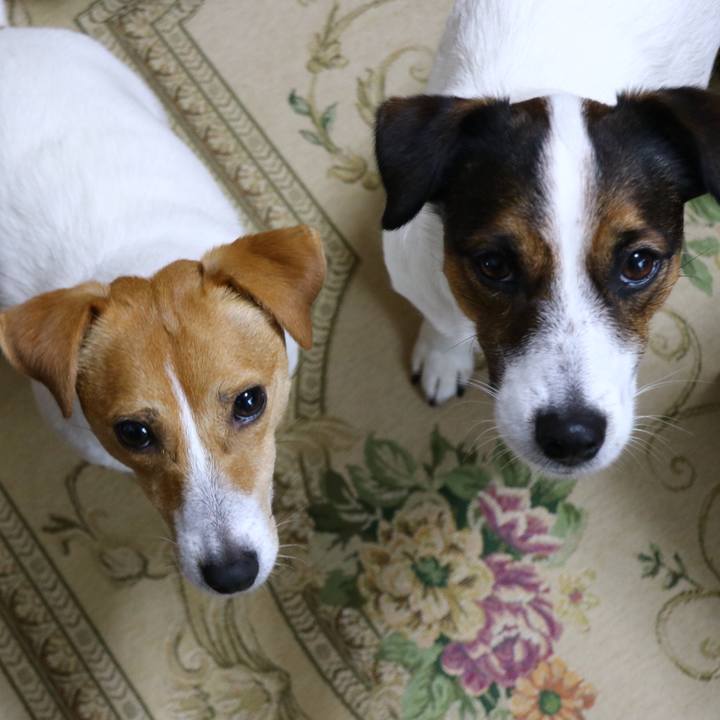 40c768c9 31a7 4be1 aff2 b7f74b32adb5 1544595287429