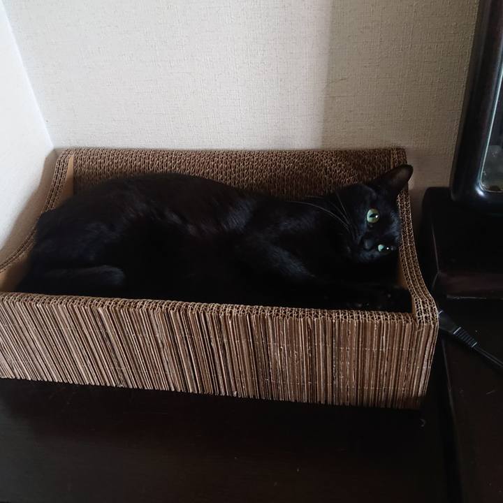 40c76f76 84cc 46e0 99ee 71cc87e926be 1695713365625