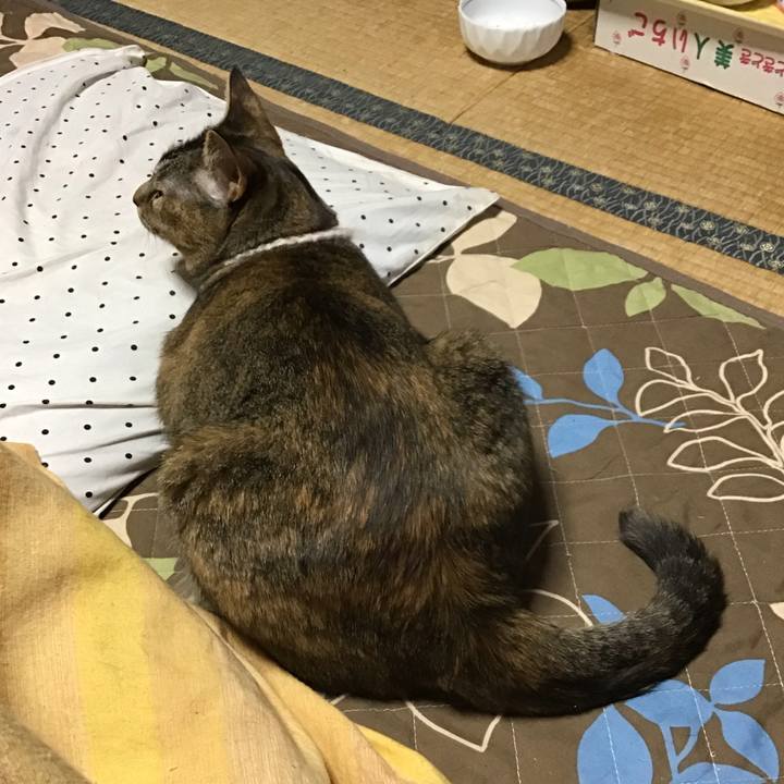 40c78fcf d825 4858 9462 d85c28349edd 1652692713622