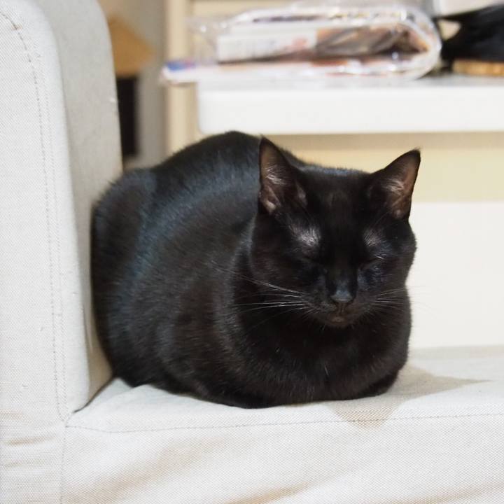 40c7c16c 6023 4287 b0b9 185ee426e3c3 1547163205771