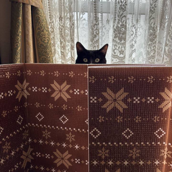 40c7ccad 1b3b 4474 9cfb 7a61f1e24daf 1772838463777