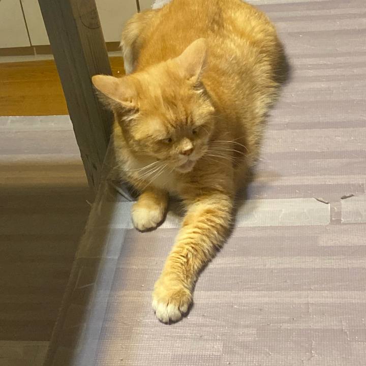 40c80bd3 bead 43e0 8abb bea3d53936d9 1623413754279