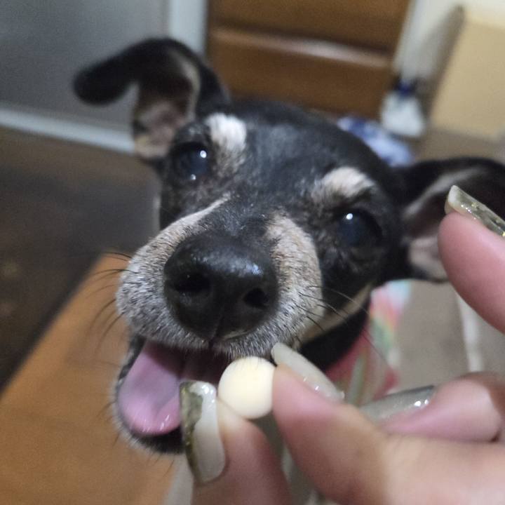 40c8192c ed0e 4fcb 9e5a ed4df488ba47 1755893957930