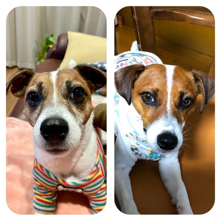 40c8254b ae6f 47d1 af2c 795a0950ab63 1736332013663