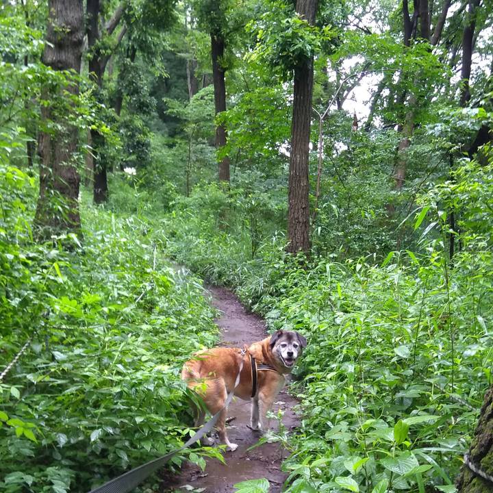 40c838c9 d415 4b97 b711 46d8f9188806 1563490755987