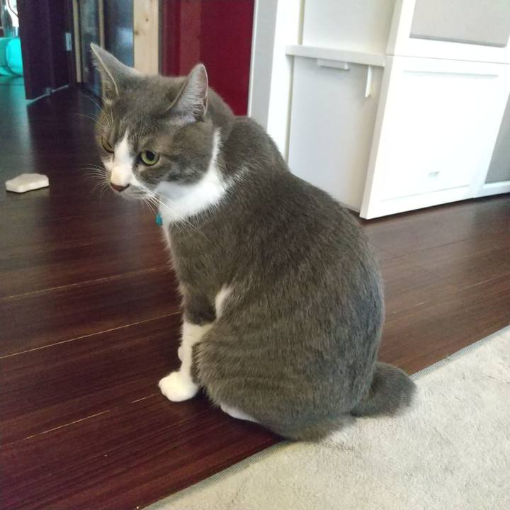 40c8579f ccbe 4051 9adf 0a10c9d84cb0 1624398825988