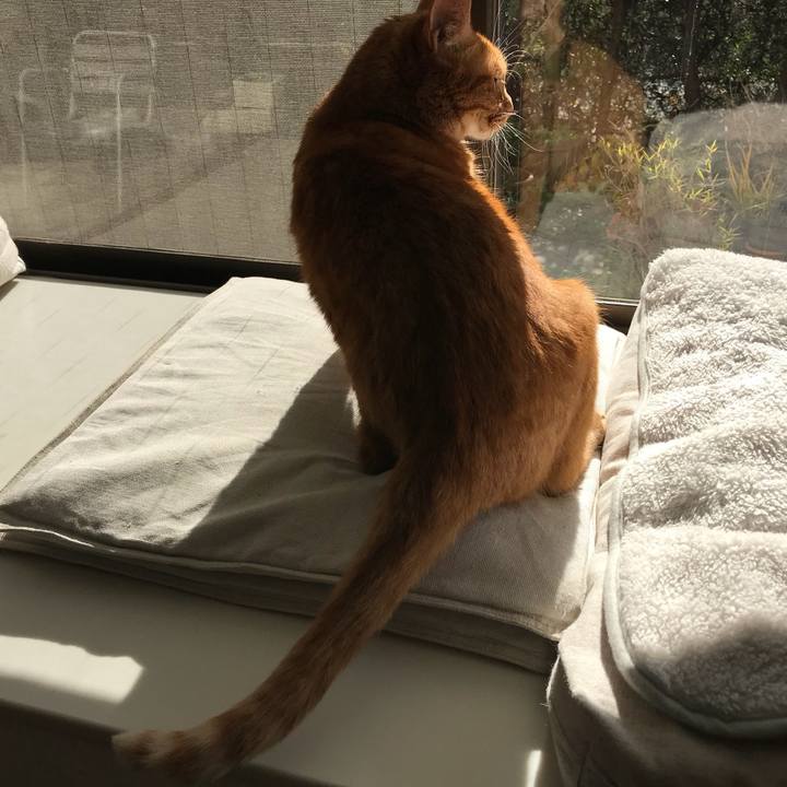 40c85ad2 39a0 40e0 bfc1 5ce1feb1691d 1512549903480