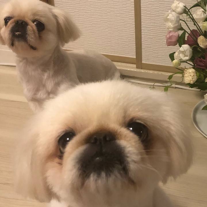 40c8aafd 3fe3 4f32 b4b6 bb2cff5d7d57 1536497850499