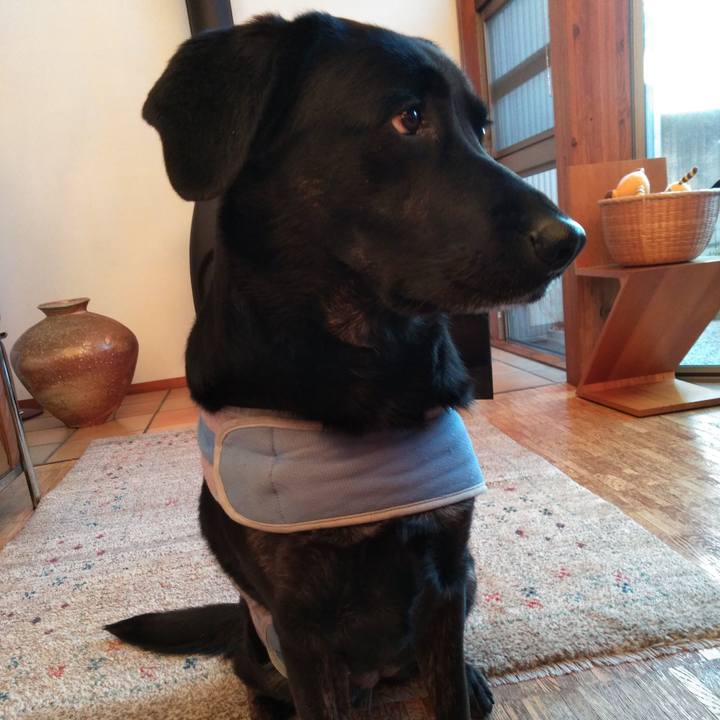 40c8b001 e9f3 47a2 ae0d 77d429194402 1577571565094