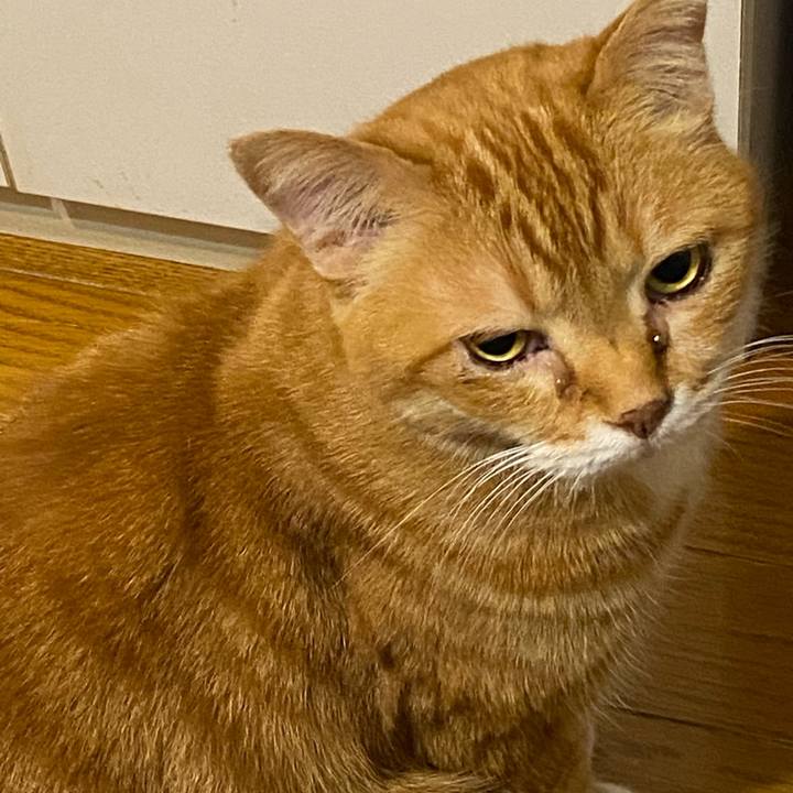 40c8c0cf 2646 4e4c 948a be97c578e3a8 1653567897891