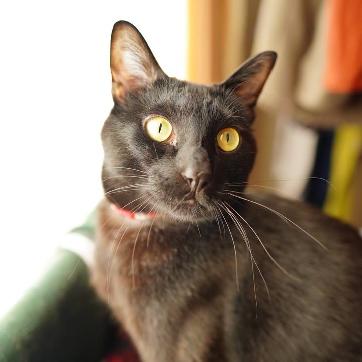 40c8e048 17ad 4bd6 93fe 7401df4fc29b 1582587862976