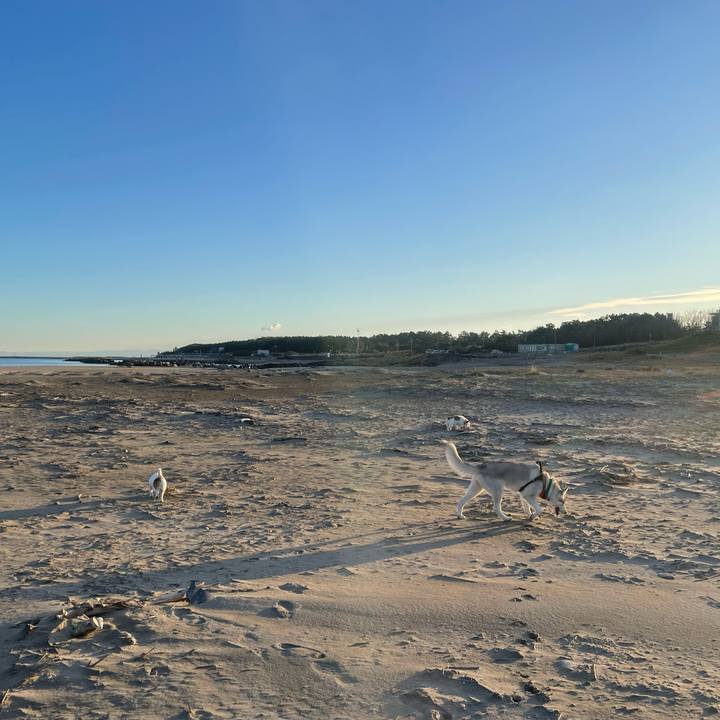 40c8eb6e e0fa 450a 928e eea0ce22f5ee 1732144718440