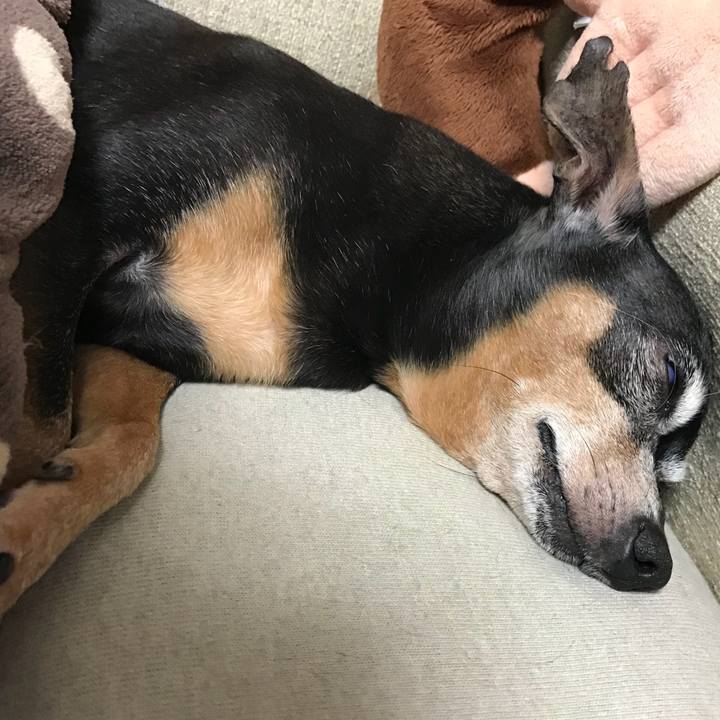 40c8f00d c78a 4022 85d7 a4c434aaa761 1532620634757