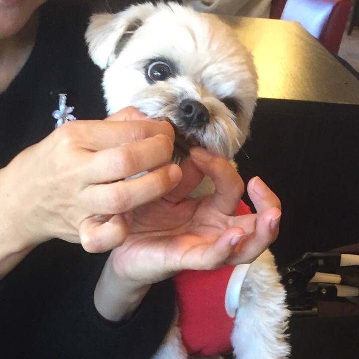 40c908c6 054b 43a0 8f5d 9de49834d86f 1512216175923