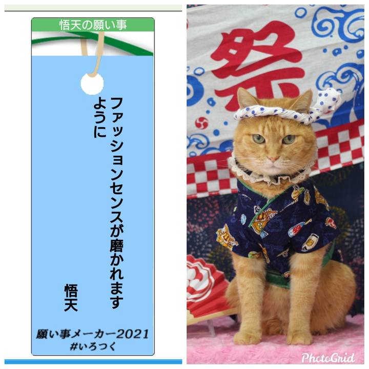 40c915b9 5570 4394 bca5 053ca927b3ba 1625659986479