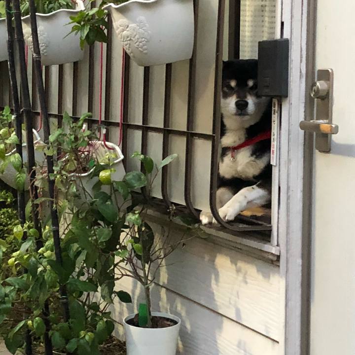 40c95591 76fb 4f5d 891c 746779219e13 1515494897271