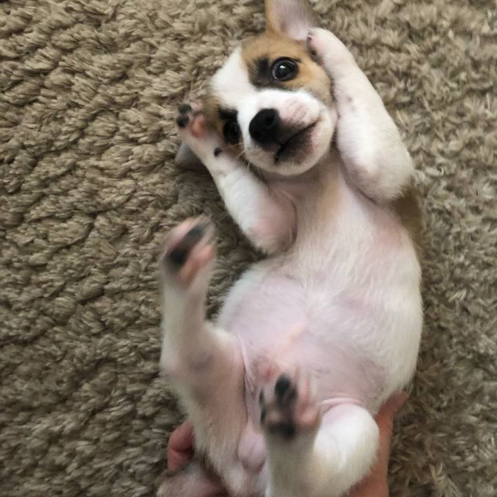 40c99116 636f 4b14 b1d2 f44a1b1fb572 1543290518901