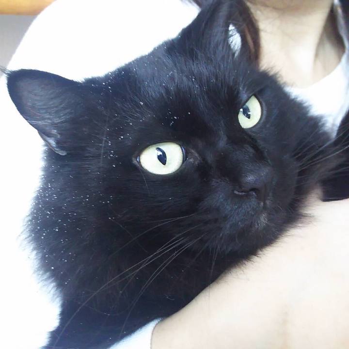 40c9e4b4 0bfb 454a ad10 b6e95fd144fc 1513388572583