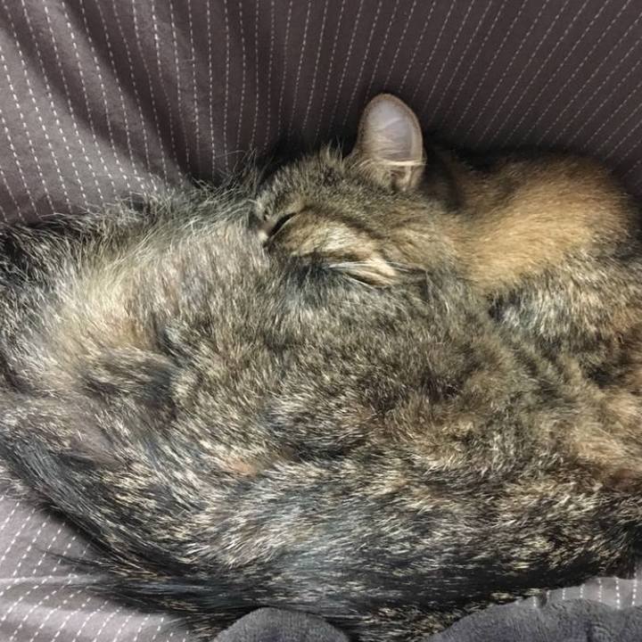 40ca0fae 1865 41c1 bcf3 1336543817ea 1768198197774