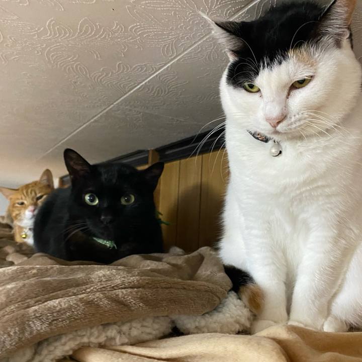 40ca2826 6228 4021 89ec 3846601262f9 1670279113303