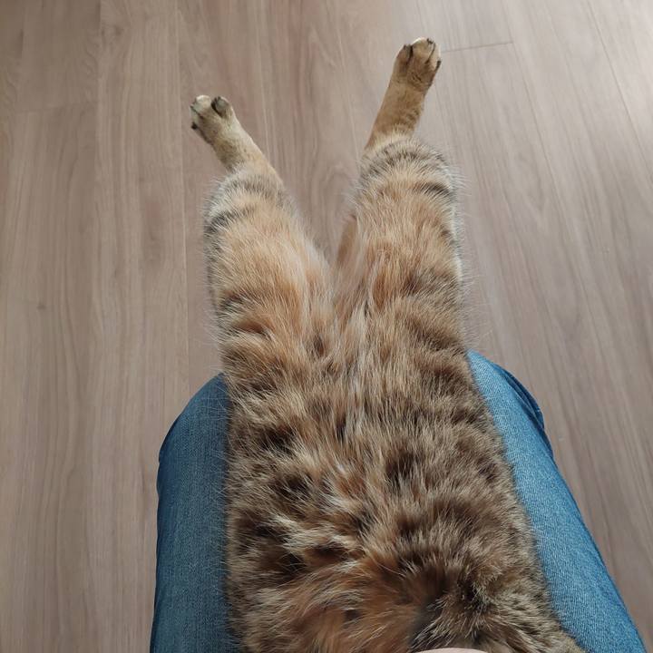 40ca5b57 8c7a 4c3a b954 d70a2770bf80 1670798126394