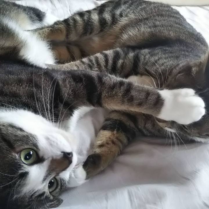 40ca61e8 6b3a 4518 bb97 50506009315f 1601675747575