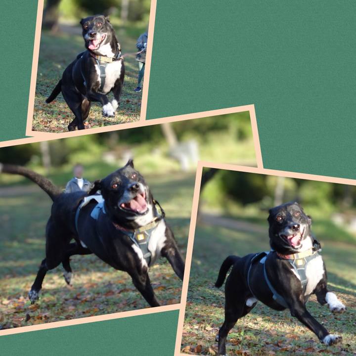 40ca6921 be31 44ce 8b97 a0e42cdd30ae 1731115092630