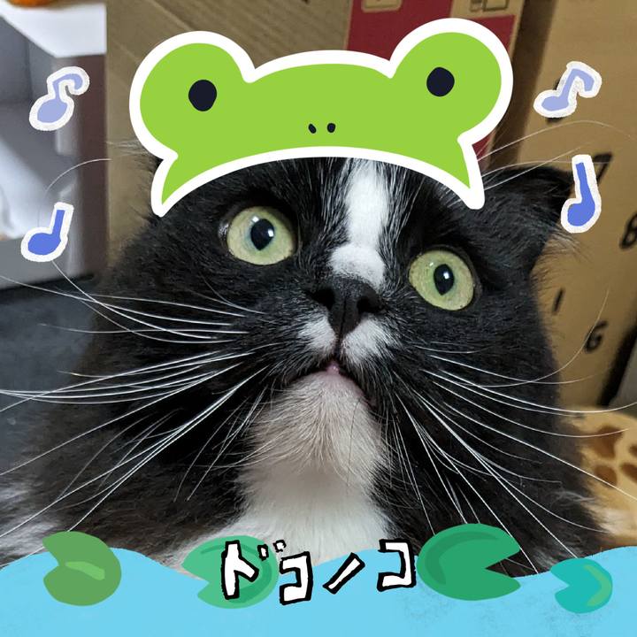 40ca6e05 e139 4281 a8c0 f4119d52f2ed 1717938319092