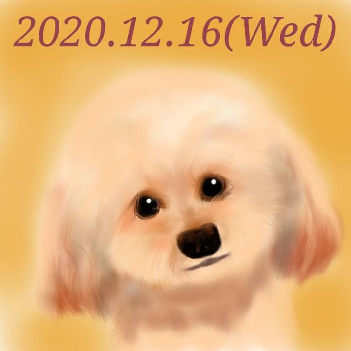 40caa8af 9452 4d9b 9ca6 a9add7383ccd 1608122400209
