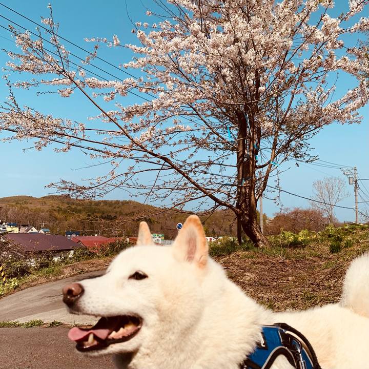 40caebd5 95e1 4bd1 846b 7f3173f105f7 1651727432775