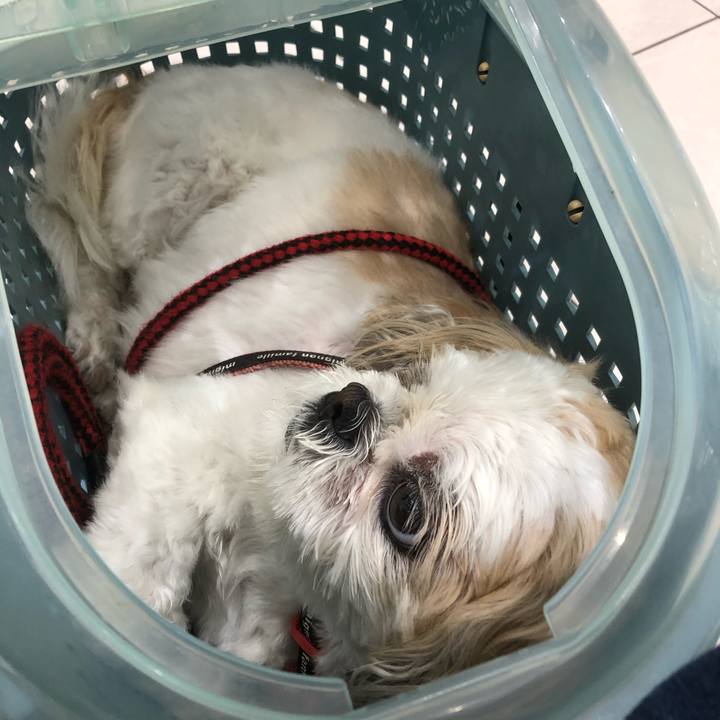 40cb3264 c3d2 44df a0aa 95891e5da99d 1624225467577