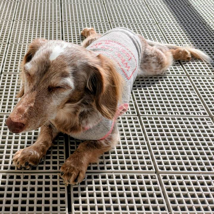 40cb6d5d 34d9 44d7 9a64 71ee76f339df 1764554173293