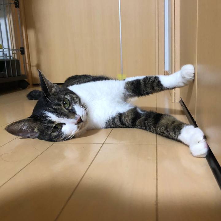 40cbb571 e525 4d29 9818 db9a7193fd15 1597782268147