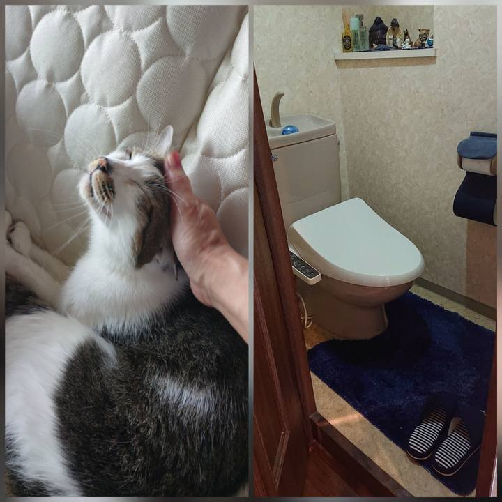 40cbb8a0 0480 45b4 aa6c 0a60e5d6ccb4 1588211461327