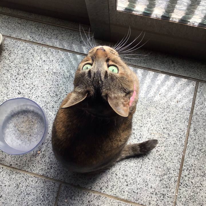 40cbc4e6 e0d2 4b06 83be 6cd4b1ddf0e7 1743766007359