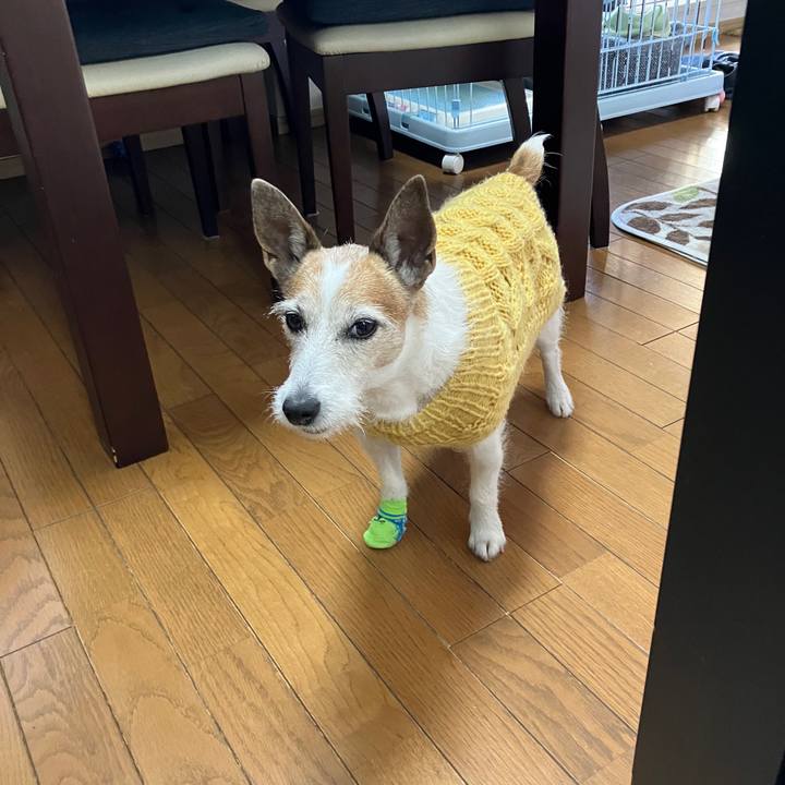 40cc364d 0768 44c9 8cf6 fdbd6cd59de5 1738194251582