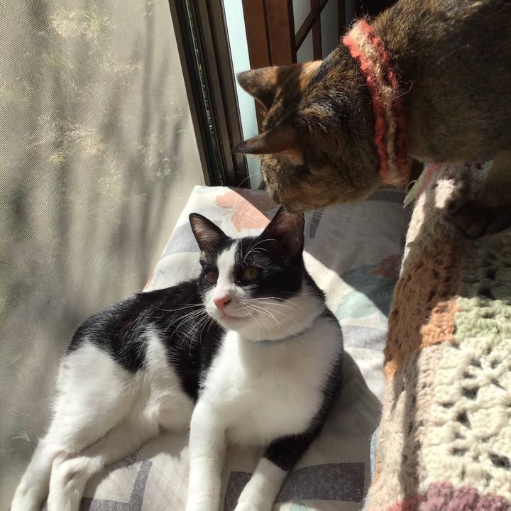 40cc5517 c412 440c a3b2 5fafde288338 1632734733887