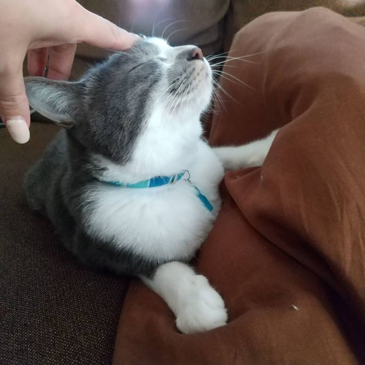 40cc62c0 3db0 4aa5 a451 fcc0bedd9e35 1636176943165