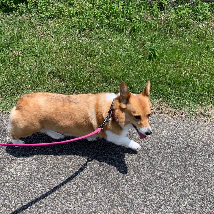 40cc9552 eca2 4535 8ec2 9e2c8d8ff616 1557890165076