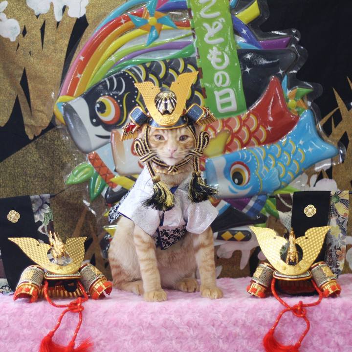 40ccea78 9791 45cb a391 16dc973dc164 1682651008912