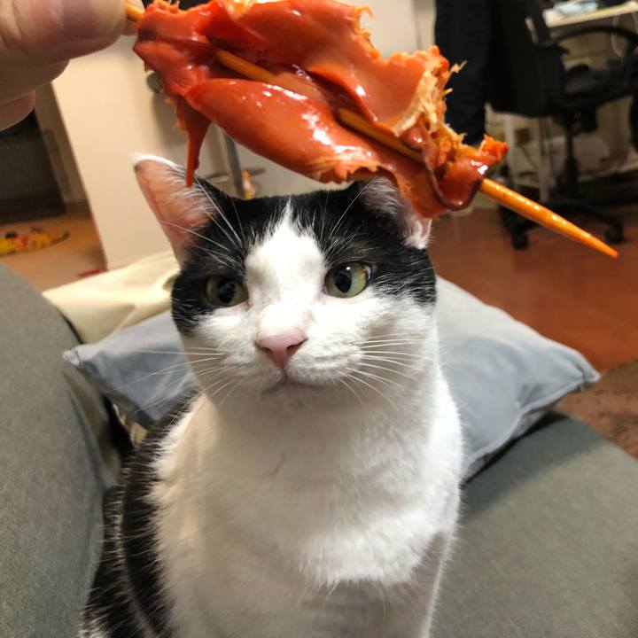 40cd00f2 8b96 4dab b43f 9cbd60fe5dc6 1533359201611