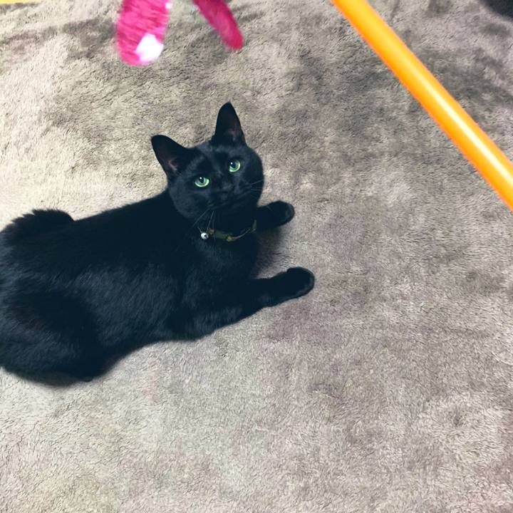 40cd2969 9683 4ad5 b2a0 080fc99618e8 1581689357359