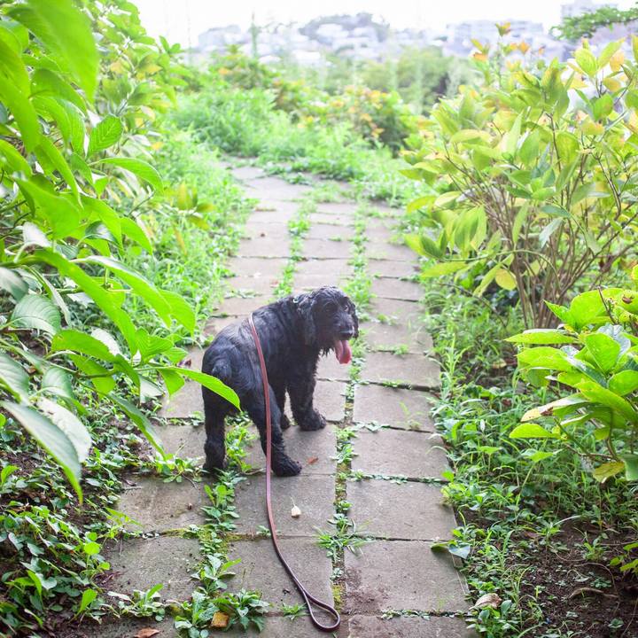 40cd3f13 09dd 4e47 8012 e30f76ad3b31 1565441714987