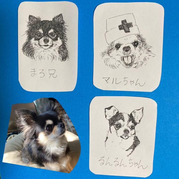 40cd95e8 ac0f 4153 ac5f 4f15f04725fa 1614325364902