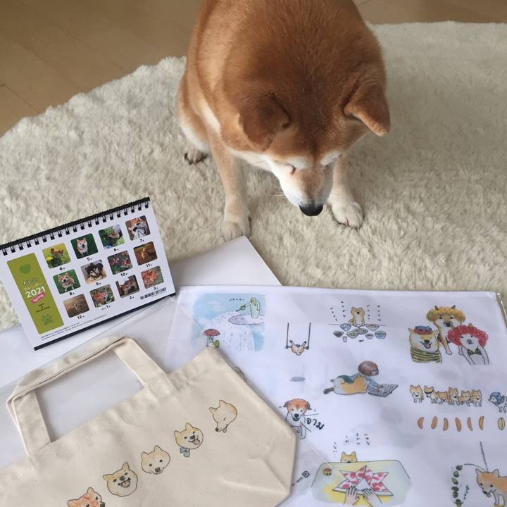 40cda174 e17e 4c74 be4d 9eec4d4d4d09 1616323885326