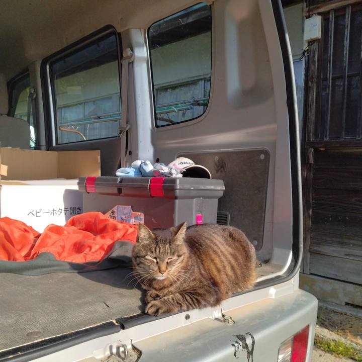 40cda718 a14a 4c7a 976e ea7180855420 1684363223561