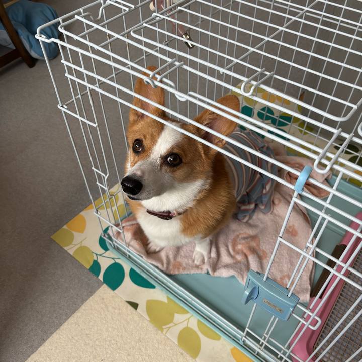 40cdaae0 4df6 4ae0 bfb9 4fa829c1694c 1757294804612