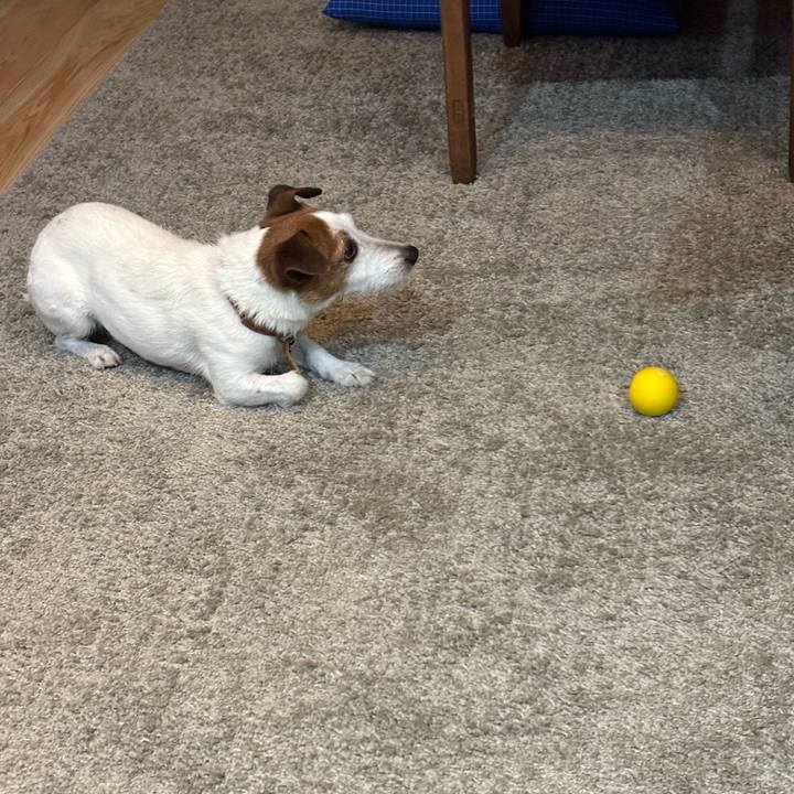 40cdb766 bb70 4e07 b9ad 25a3e20664fb 1772142027920