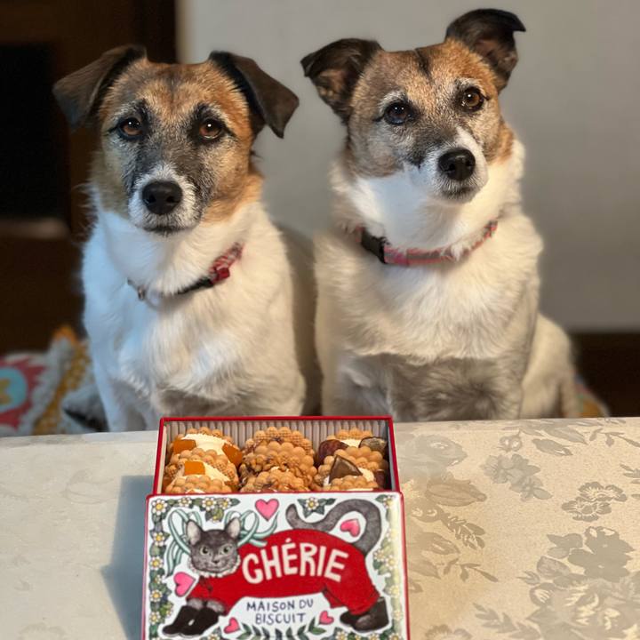 40cde50d d84f 4f14 80f7 1e1a520d03b9 1708948055719