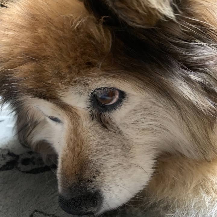 40ce0e93 aa97 44bd 8ecd 8f65a8298e3d 1585832652290